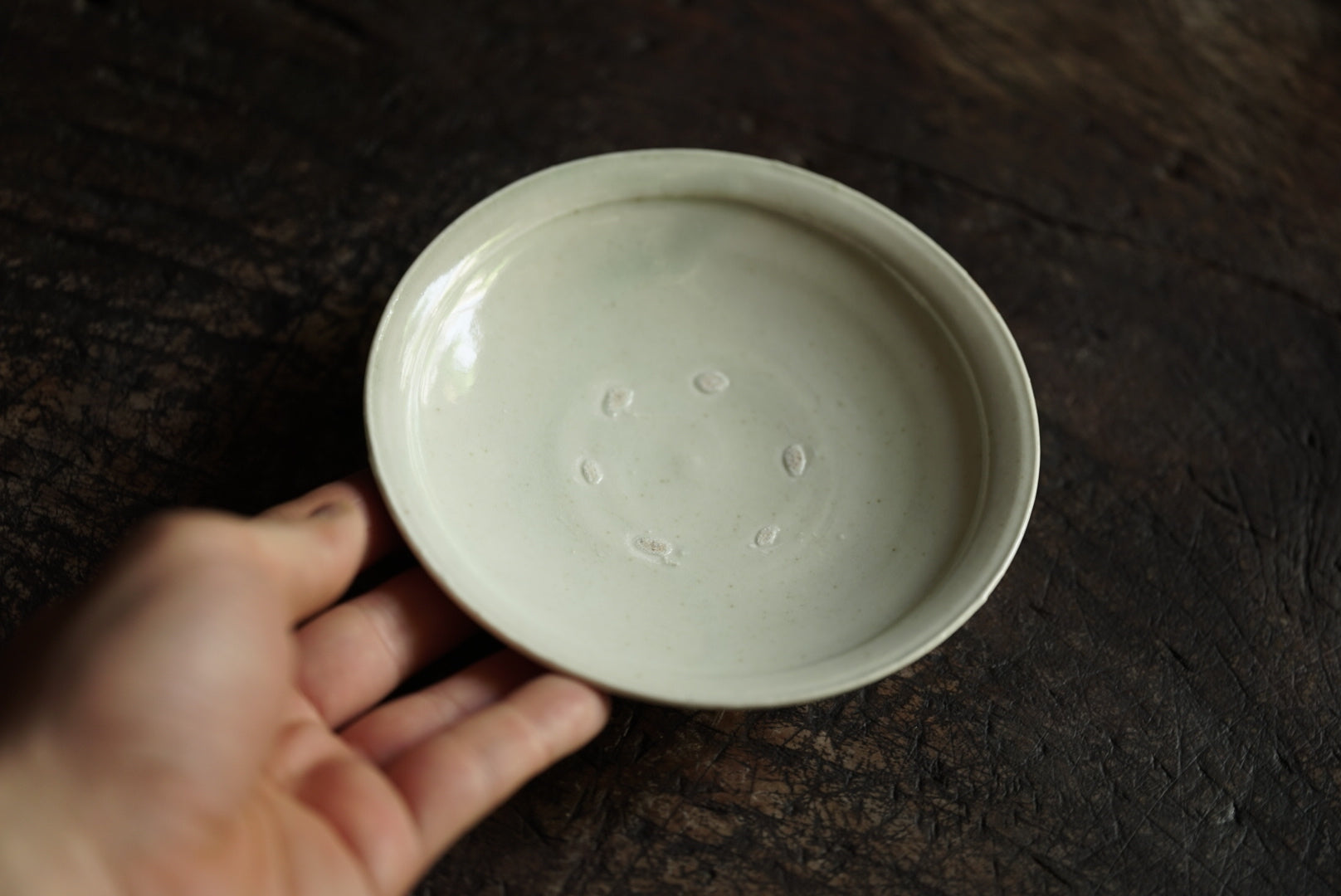 White 瓷 4 -inch plate / Masahiro Takeka