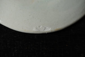 白瓷五寸皿 / タナカシゲオ