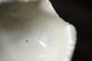 White porcelain shells suitable / Maruta sect