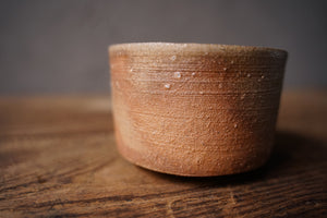 Shigaraki tea bowl A / Yoriyoro