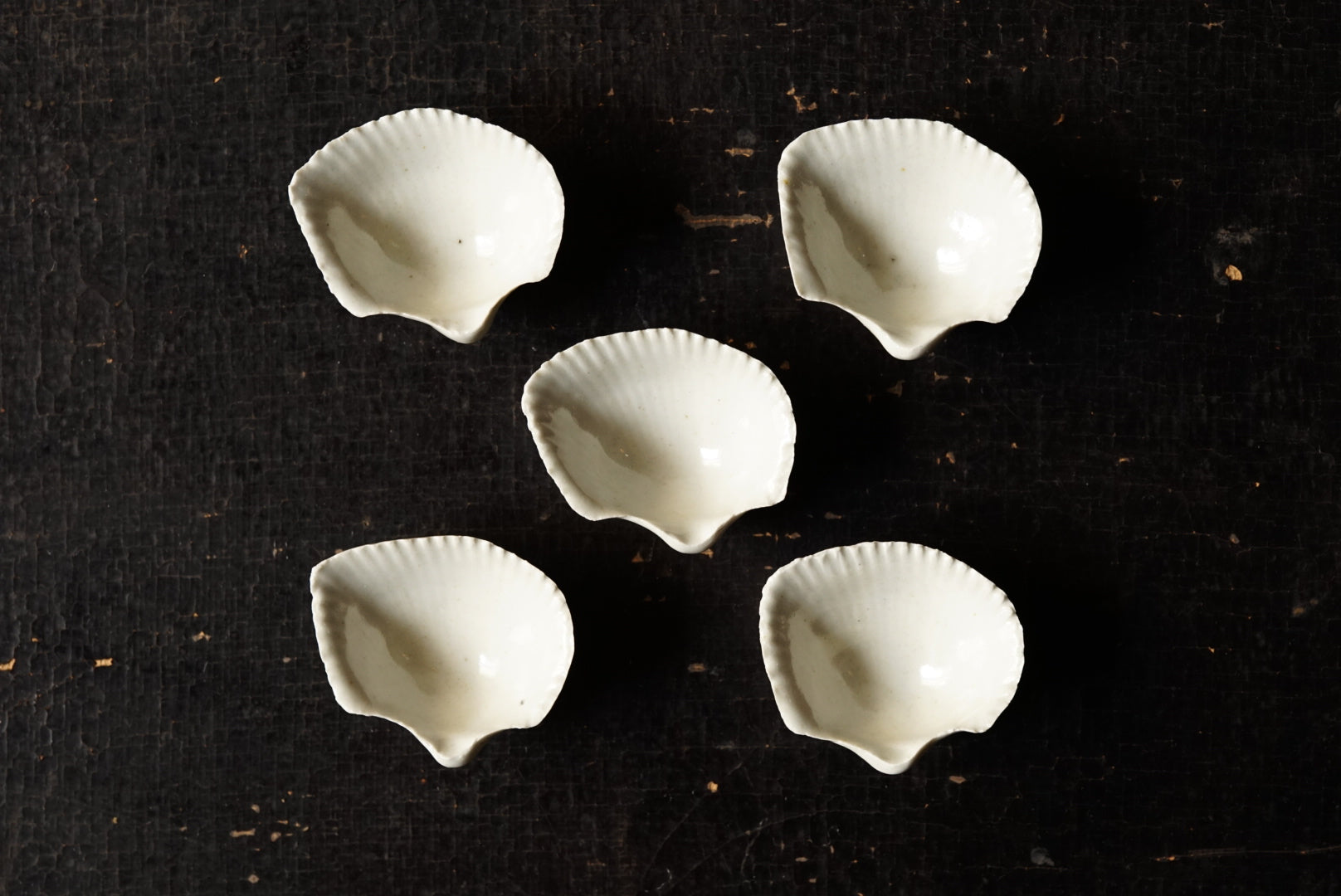 White porcelain shells suitable / Maruta sect