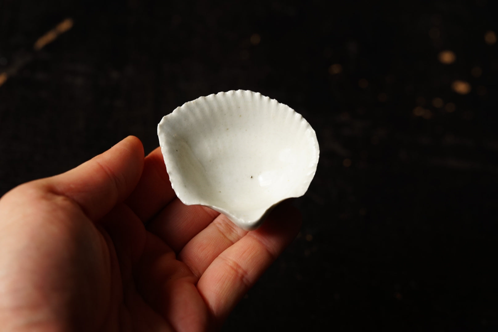 White porcelain shells suitable / Maruta sect