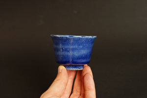 Ruriwa Flower Cup / Yuki Matsuba