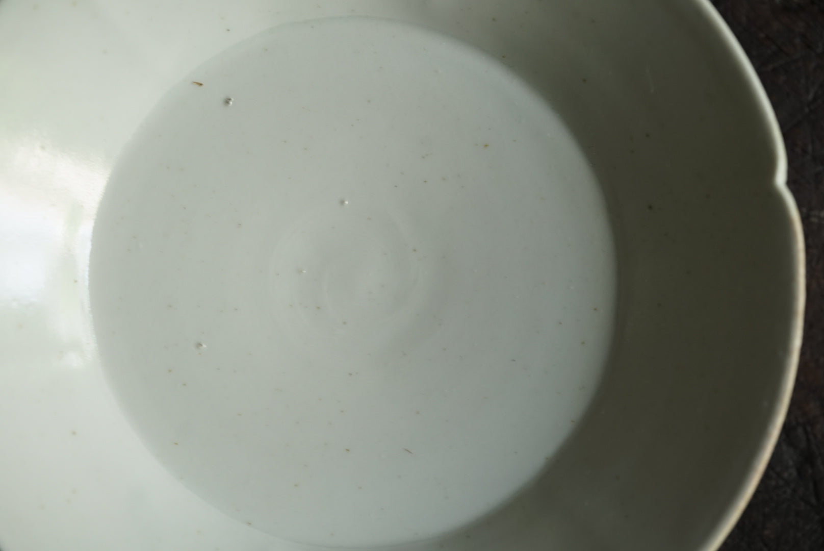 Fleur de roue blanche 5-pouces Plate / Masahiro Takehana