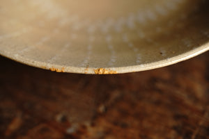 Ash glaze white crest plate / Yuichi Nakata