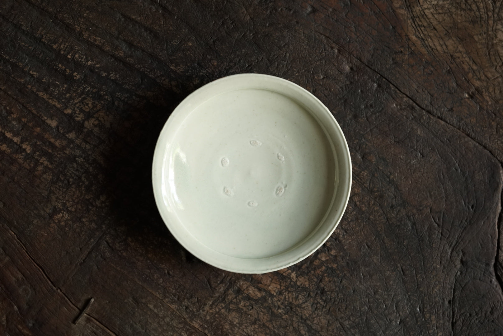 White 瓷 4 -inch plate / Masahiro Takeka