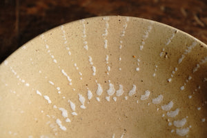 Ash glaze white crest plate / Yuichi Nakata