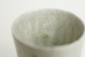 Aokaratsu Tsukasu Cup / Kentaro Murayama