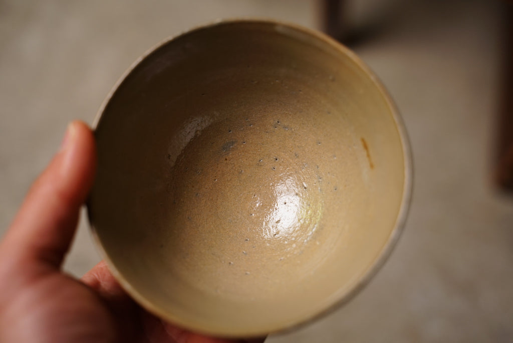 Karatsu Tea bowl / Masahiro Takehana