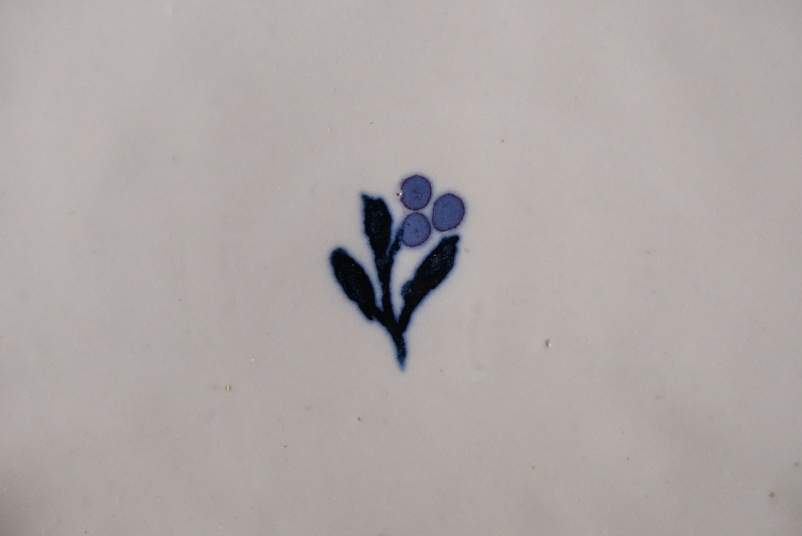 Color picture small plate purple flower / Yuichi Nakata